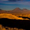 _MG_9386.jpg