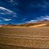 _MG_0080-1.jpg
