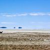 _MG_0596.jpg